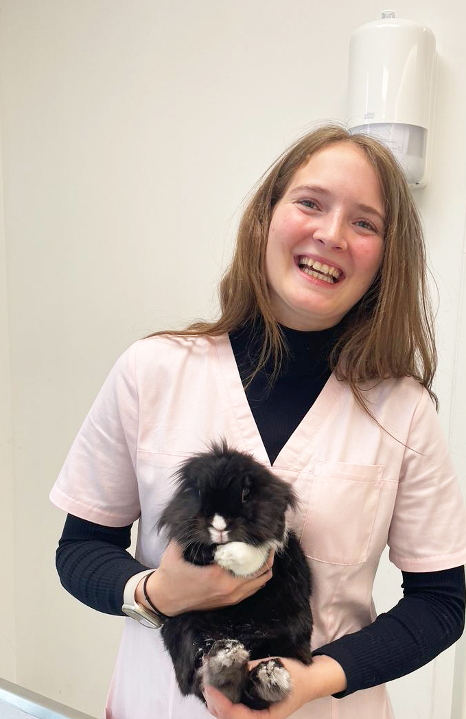 Dier-en-vriend_dierenartsen_dierenartsencentrum_operatie_praktijk_ruddervoorde_TEAM_Iendra Van Damme