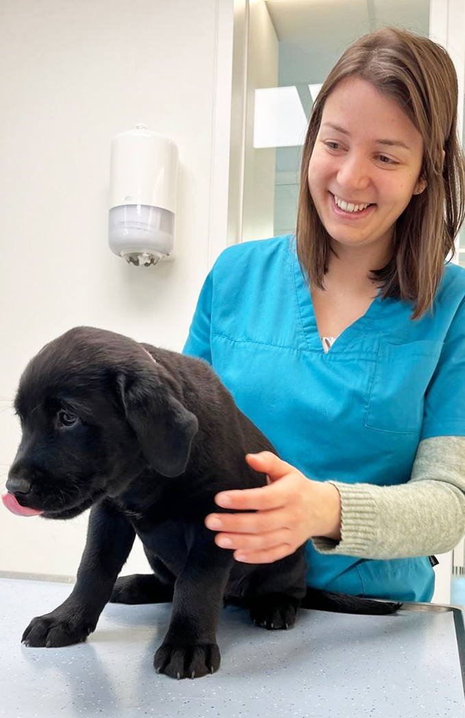 Dier-en-vriend_dierenartsen_dierenartsencentrum_operatie_praktijk_ruddervoorde_TEAM_Tiffany Barin